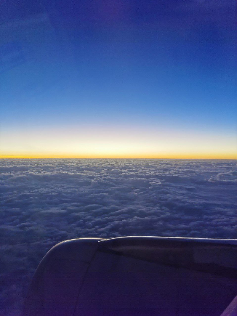 Featured image of post 写在2022年末